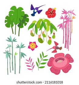 Set of exotic flowers bamboo leaves in tropical forests. Nature flora on planet. Cartoon vector illustration.