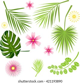 Set of exotic flowers and leaves