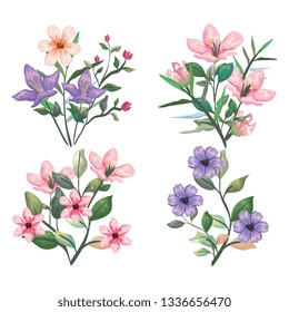 set exotic flowers plants and botanic leaves