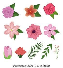 set exotic flowers plants with branches leaves