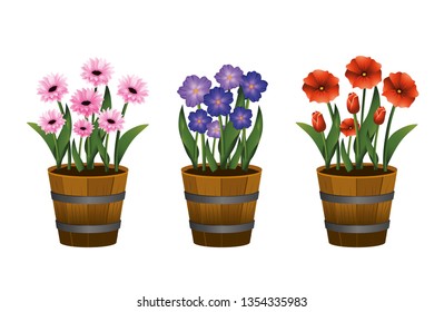 set exotic flowers plants with leaves inside flowerpot