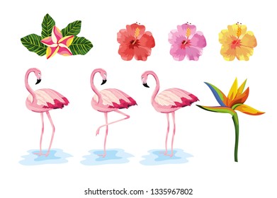 set exotic flowers with tropical flamingos animals