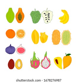 Set of exotic fruit elements. Flat stock vector illustration.