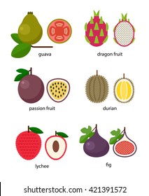 Set of exotic fruit: guava, passion fruit, dragon fruit, lychee, durian, fig
