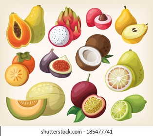 Set of exotic fruit. Vector