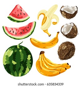 Set of exotic fruit. Vector