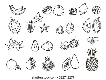 Set of exotic fruits. Doodle, sketch, hand drawing. Vector.