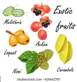 Set of exotic fruits (Melothria, Ackee, Loquat, Noni, Star fruit). Hand drawn vector illustration on white background.