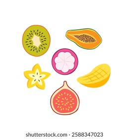 A set of exotic fruits of simple shapes. Kiwi, starfruit, mango, papaya, mangosteen, fig.