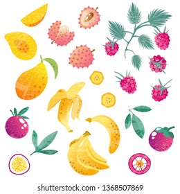 Set with exotic fruits, whole and sliced. Hand drawn vector threadbare tropical illustration on white background. Mango, banana, mangosteen, passion fruit, raspberry, lychee and leaves.