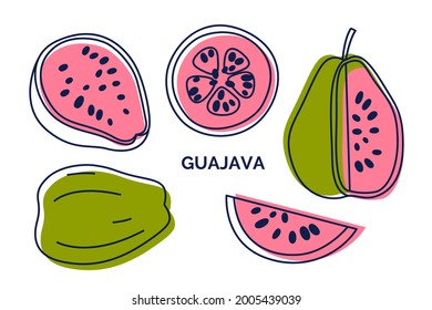 Set of exotic guava. Vector hand-drawn illustration from outline and silhouettes. Tropical Guajava collection isolated on the white background