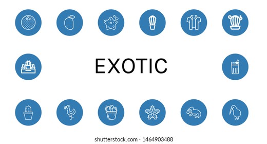 Set of exotic icons such as Coconut, Mango, Starfish, Cactus, Hawaiian, Flamingo, Chameleon, Kiwi, Chicha de frutilla , exotic