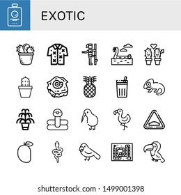 Set of exotic icons such as Fruit, Cactus, Hawaiian, Pole dance, Flamingo, Shell, Pineapple, Chicha de frutilla, Chameleon, Kentia, Kiwi, Hump, Mango, Snake, Parrot, Toucan , exotic