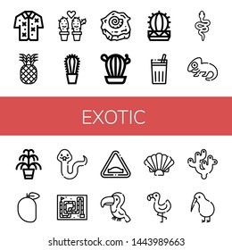 Set of exotic icons such as Hawaiian, Pineapple, Cactus, Shell, Chicha de frutilla, Snake, Chameleon, Kentia, Mango, Hump, Toucan, Flamingo, Coral, Kiwi , exotic