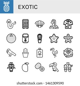 Set of exotic icons such as Pineapple, Snake, Fruits, Shell, Hawaiian, Coconut, Cactus, Starfish, Parrot, Fruit, Flamingo, Kentia, Mango, Kiwi, Toucan , exotic