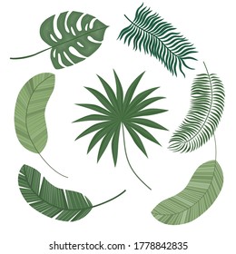 Set of exotic leaves. Cute tropical leaves. Isolated on a white background.