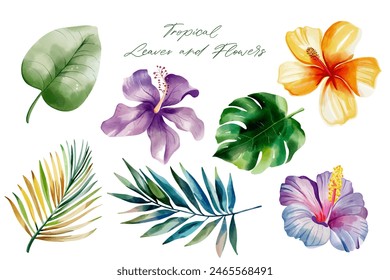 Set of exotic leaves and flowers. Watercolor tropical leaves. Palm leaves. Hand drawn floral illustration. 