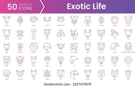 Set of exotic life icons. Gradient style icon bundle. Vector Illustration