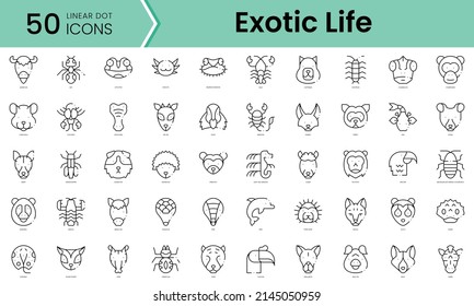 Set exotischer Lebenssymbole. Paket mit Symbolen im Line Art Style. Vektorgrafik