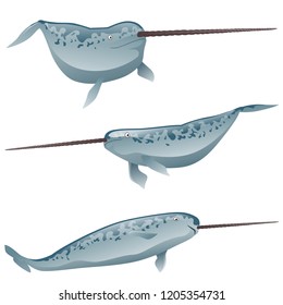 A set of exotic narwhal isolated on white background. Vector cartoon close-up illustration.