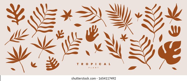 Set of exotic palm leaves of various shapes and sizes vector illustration on a light background. Tropical plants. Terracotta color plant collection in flat style. Elements for ecological design.