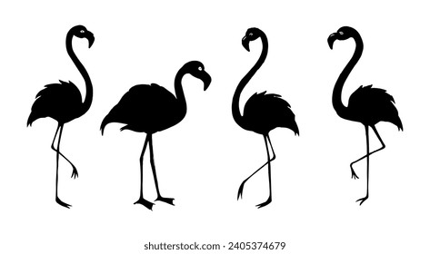 Set of Exotic pink flamingo bird vector silhouette