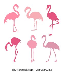 Conjunto de exóticas siluetas rosadas de pájaros flamencos. Flamencos de pie en diferentes poses. Pájaros Clipart, iconos, símbolo, logotipo. Ilustración vectorial monocromática del contorno aislada en el fondo blanco