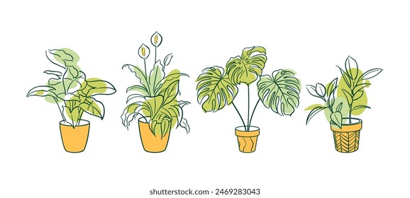 Set Exotic plant in a pot. Ficus, Syngonium, Monstera, Spathiphyllum. Home floriculture, house plants, hobby. Botanical Outline illustrations in hand drawn style. Vintage. stickers, design elements.