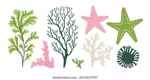 Set with exotic plants, corals, starfish. Underwater, sea life concept. Hand draw vector illustration isolated on white background. Cute design in pastel colors. For prints, typographic and web design