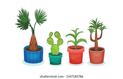 Set of exotic plants in flower pots. Vector illustration on a white background.