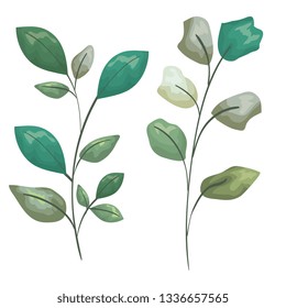 set exotic plants with leaves branches