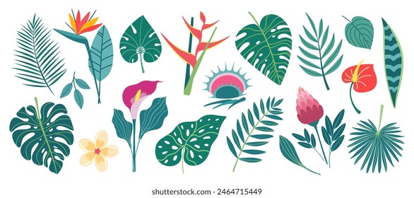 Set of exotic plants in simple flat design. Tropical leaves and flowers isolated on white background. Vector illustration.
