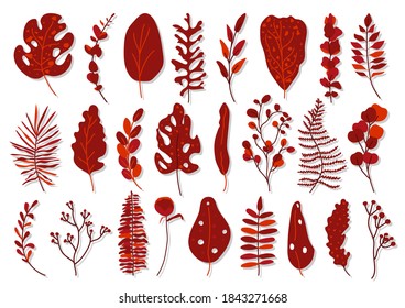 Conjunto de hojas tropicales rojas exóticas. Hojas dibujadas a mano de diferentes formas abstractas de jungla de elementos botánicos florales hojas de palma, monstera para composición decorativa o tarjeta de invitación Aislado sobre ilustración vectorial blanca