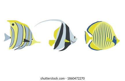 Set of exotic sea fish color design cartoon on white background. Ocean fish animal, underwater life sea fish in flat style, nature wildlife aquarium, tropical drawing marine fauna vector illustration.