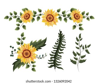 set exotic sunflowers plants with branches leaves