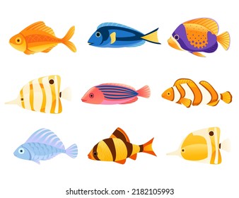 Set of Exotic tropical aquarium fishes vector illustration isolated on white background cartoon animal design