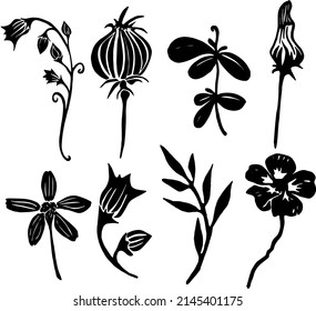 Set of exotic and tropical flowers black silhouette isolated on white background. Linocut printed leaves and flowers. Vector. Atlantic forest plants.