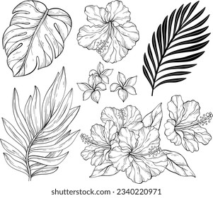 Set of exotic tropical flowers and leaves. Hibiscus, palms. Black and white Vector illustration.