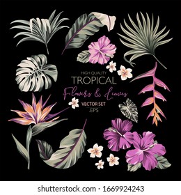 Conjunto de flores tropicales exóticas y hojas de palma en colores de tendencia para tatuajes, telas, souvenirs, empaque, tarjetas de felicitación y rayado