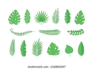 Set of exotic tropical leaves