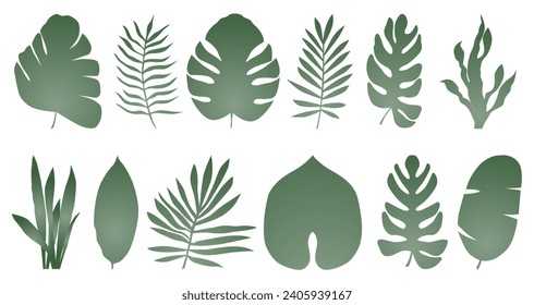 Set of exotic tropical leaves of different types in gradient. Vector illustration isolated on white background. ESP 10.