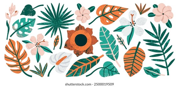 Set of exotic tropical leaves and flower with grunge texture and rough surface vector illustration. Jungle rainforest monstera, banana palm, philodendron natural foliage and floral blossoms collection