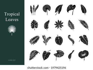 Set exotic tropical leaves  Glyph icons white background  Vector botanical illustration 