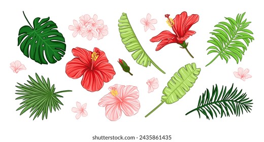 Set of exotic tropical palm leaves, hibiscus flowers. Bright colorful botanical design elements.