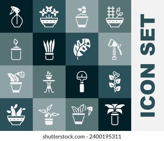 Set Exotic tropical plant in pot, Ivy branch, Water spray bottle, Seeds bowl, Plant, Sprout,  and Tropical leaves icon. Vector