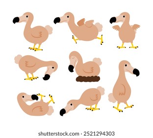 Set of extinct dodo bird cartoon collection, Raphus cucullatus illustration, wildlife fauna conservation, isolated on white background. Endemic species of flightless bird raphus cucullatus Mauritius.