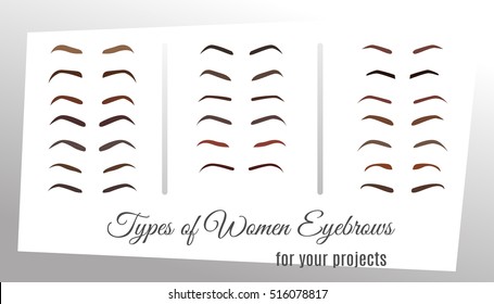 Set of eyebrow collection different color and shapes, idea style tattoo design. Isolated on white vector illustration, graphic design