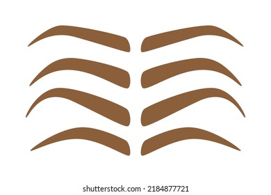 Set of Eyebrow shapes on white background