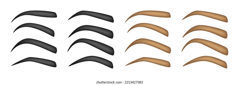 Set of Eyebrow shapes on white background