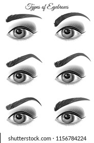 Set of eyebrow types with eyes . Vector illustration.